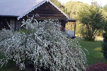 Hotel Madison'S Mountain Retreat Bilpin Zewnętrze zdjęcie